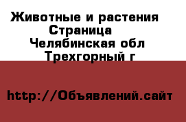  Животные и растения - Страница 8 . Челябинская обл.,Трехгорный г.